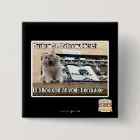 Burbon St.-balkong Kitteh