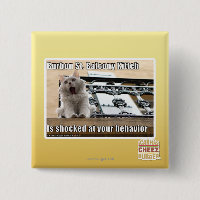 Burbon St.-balkong Kitteh