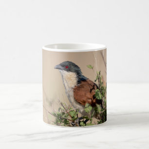Burchells kuk kaffemugg
