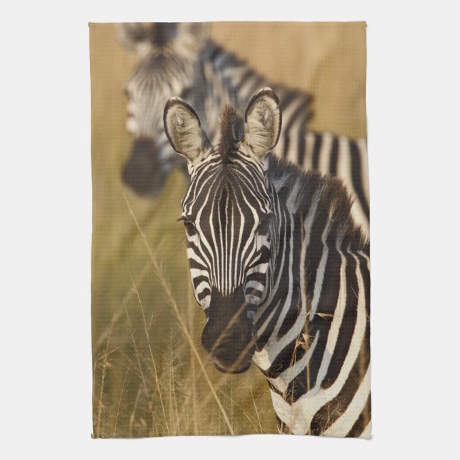 Burchells zebra i högt sommarsgräs, Masai Kökshandduk (Vertikal)