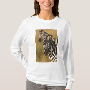 Burchells zebra i högt sommarsgräs, Masai T Shirt