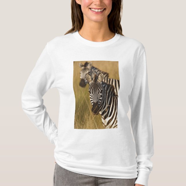 Burchells zebra i högt sommarsgräs, Masai T Shirt (Framsida)