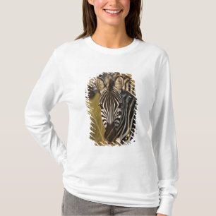 Burchells zebra i högt sommarsgräs, Masai Tröja