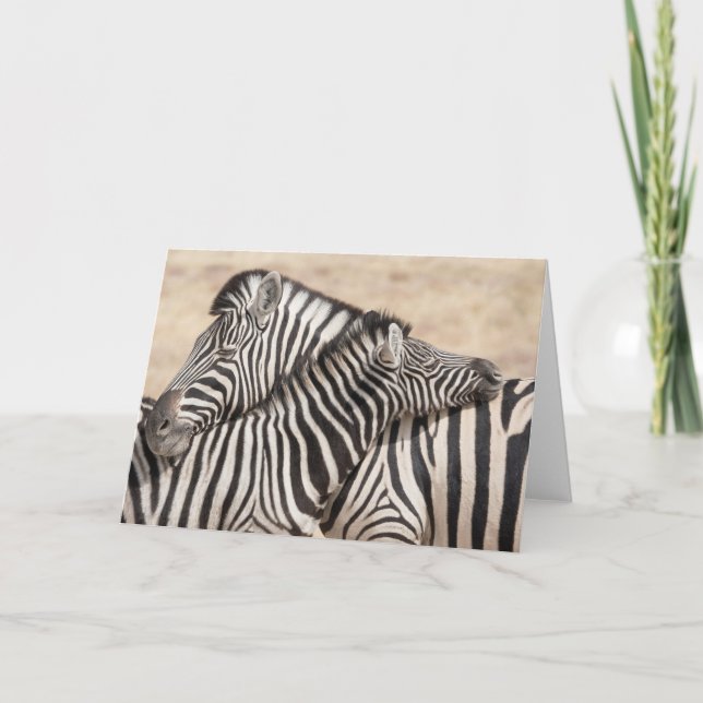 Burchells Zebröder Kort (Framsida)