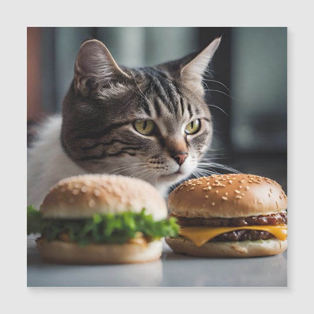 Burger Buddy- cat art (Framsida)