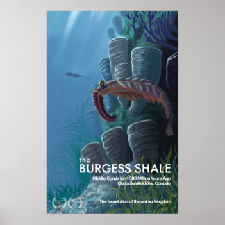 Burgess Shale Poster