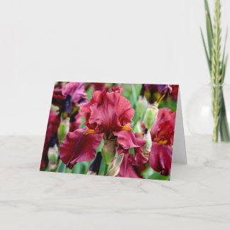 Burgund Iris Blommig Välkomstkort (Tomt Inuti) Kort