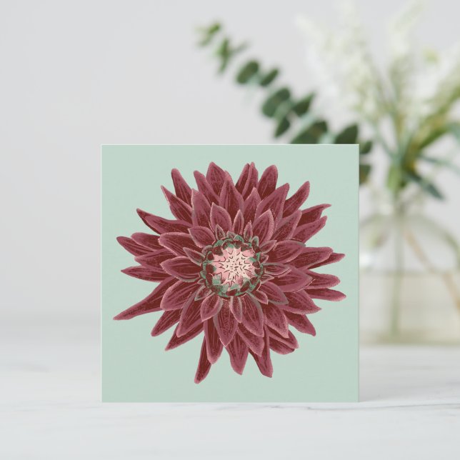 Burgunder-Dahlie (Stående Fram)