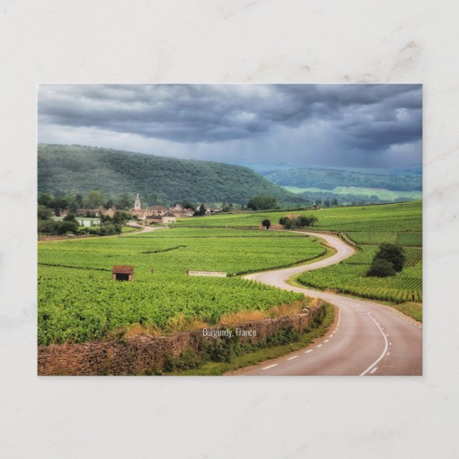 Burgundi, Frankrike vinodlingar Vykort (Framsida)