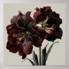 Burgundy Amaryllis Flower Art Print Poster