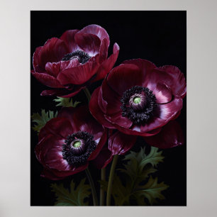 Burgundy Anemone Flowers Art Skriv ut Poster