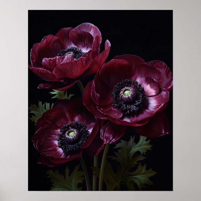 Burgundy Anemone Flowers Art Skriv ut Poster (Framsidan)