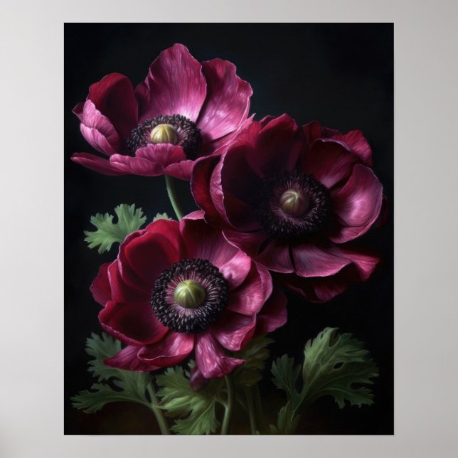 Burgundy Anemone Flowers Art Skriv ut Poster (Framsidan)