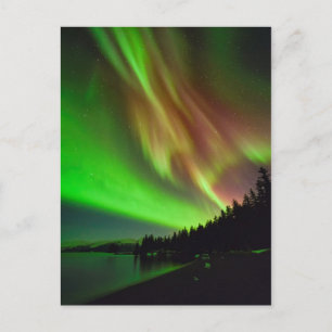 Burgundy-Aurora Vykort