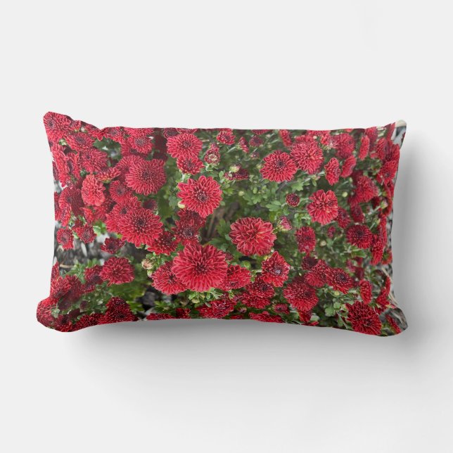 Burgundy Button Morsa Lumbarkudde (Framsida)