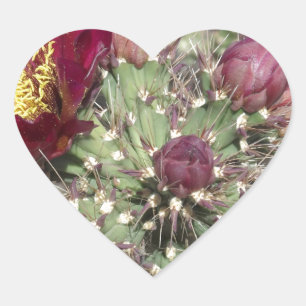 Burgundy Cactus Flowers Hjärtformat Klistermärke