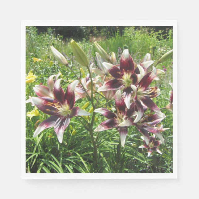Burgundy Creme Asiatic Lilies, Gult Daylilies Pappersservett (Framsidan)