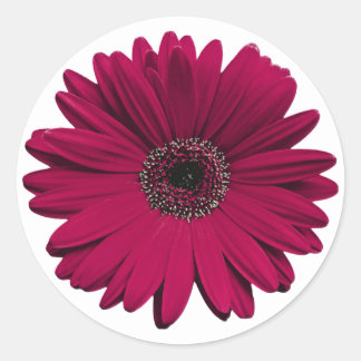 Burgundy Gerbera Daisy Flower Kuvert Seal Runt Klistermärke