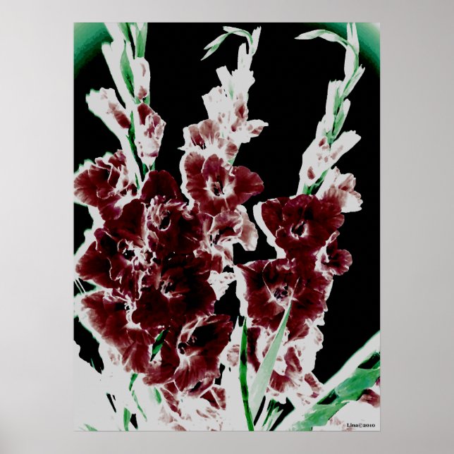 Burgundy Gladiolas från Lina Poster (Framsidan)