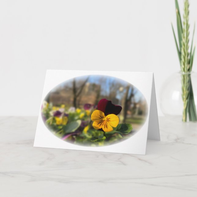 Burgundy gult pansy kort (Framsida)