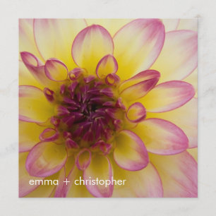 Burgundy, Gult & White Dahlia Spara Datumet