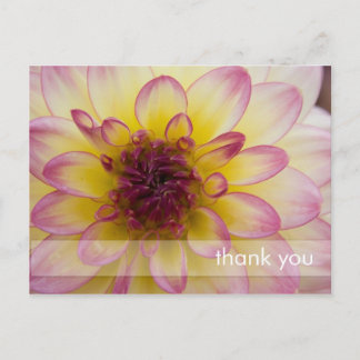 Burgundy, Gult & White Dahlia Vykort