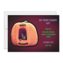 Burgundy och Orange Pumpkin Spooky Kitten