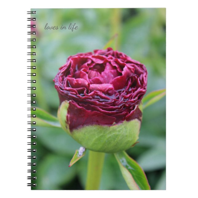 Burgundy Peony Bud Anteckningsbok (Framsidan)