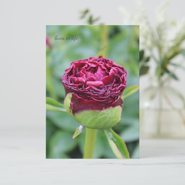 Burgundy Peony Bud Anteckningskort (Stående Fram)