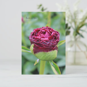 Burgundy Peony Bud Anteckningskort