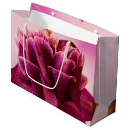 Burgundy Rosa Columbine