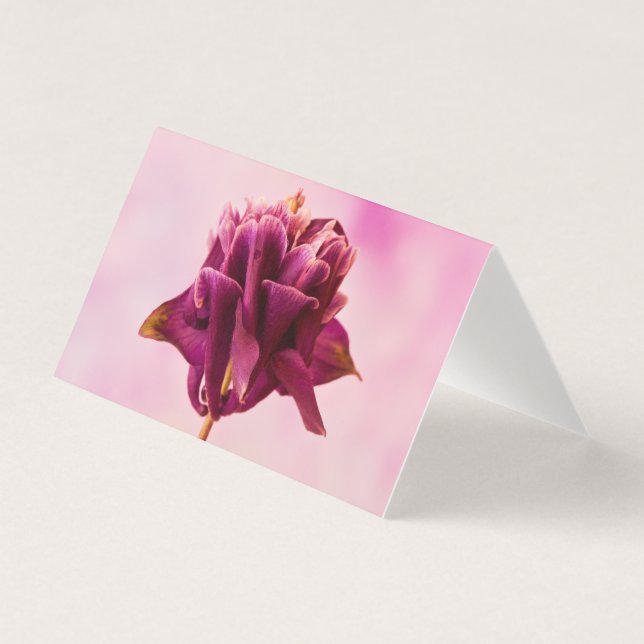 Burgundy Rosa Columbine Card Kort (Framsida)