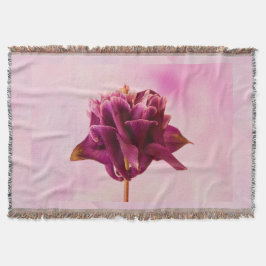 Burgundy Rosa Columbine Filt