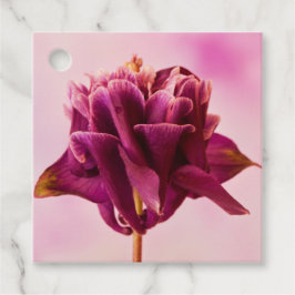 Burgundy Rosa Columbine Gåvor Etiketter