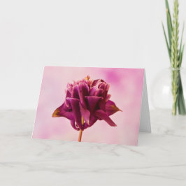 Burgundy Rosa Columbine Kort