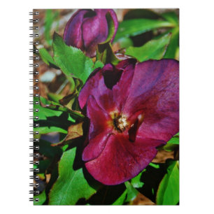 Burgundy Rosa Lenten Ro Anteckningsbok