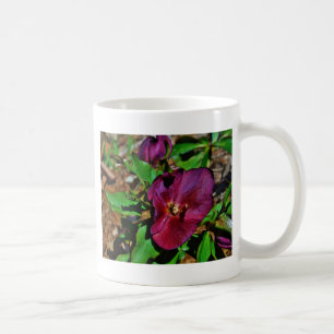 Burgundy Rosa Lenten Ro Kaffemugg