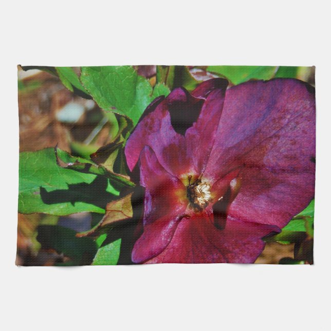 Burgundy Rosa Lenten Ro Kökshandduk (Horisontell)