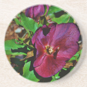 Burgundy Rosa Lenten Ro Underlägg