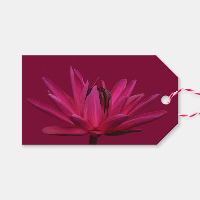 Burgundy Rosa Vatten Lily Gift Märkres Presentetikett (Framsidan (Horizontal))