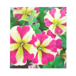 Burgundy stjärnaPetunias Anteckningsblock
