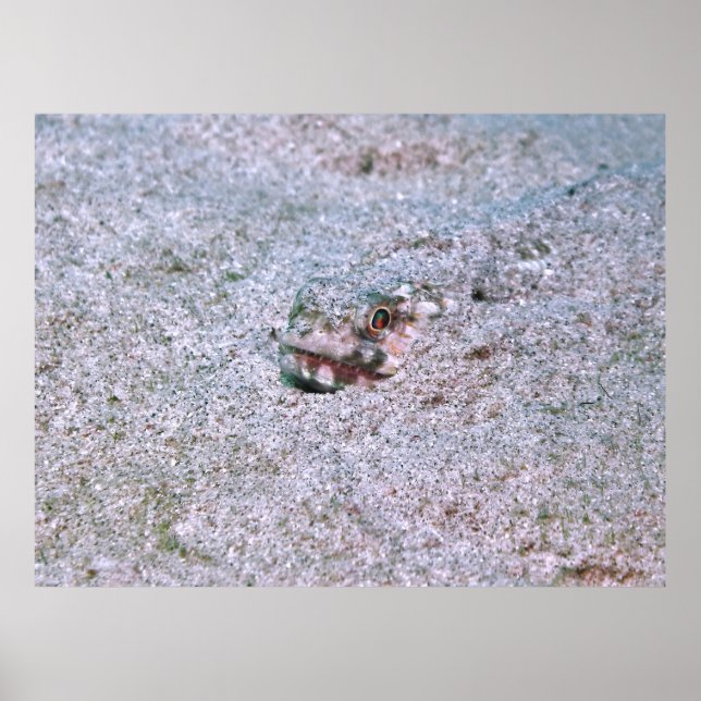 Buried Poster (Framsidan)