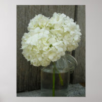 Burk i Poster av Hydrangeas och Barn Wood