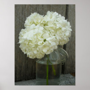 Burk i Poster av Hydrangeas och Barn Wood