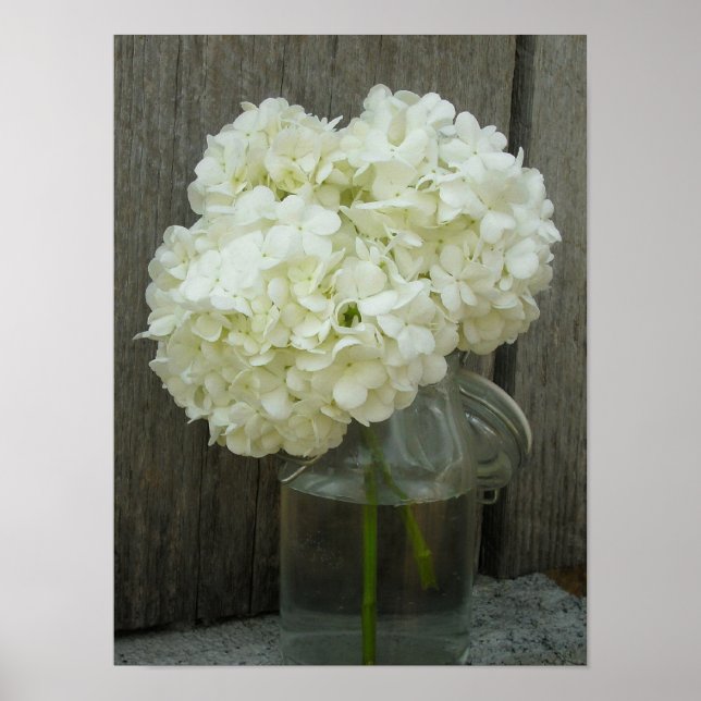 Burk i Poster av Hydrangeas och Barn Wood (Framsidan)