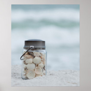 Burk i Seashells vid stranden Florida Poster