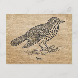 Burlap Rustic Hej Little bird Vykort
