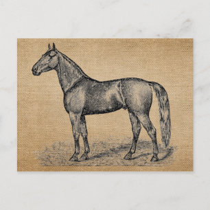 Burlap Vintage Horse Vykort