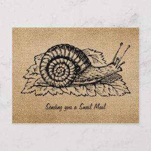 Burlap Vintage Skickar Snigel Mail Vykort