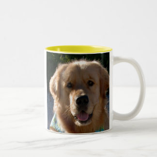 Burley_3762_Mug Två-Tonad Mugg
